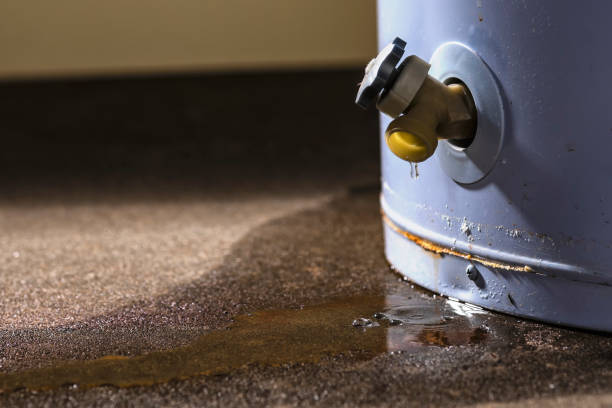 Best 24-hour water damage restoration  in Seabrook Island, SC