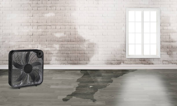 Best Ceiling water damage repair  in Seabrook Island, SC
