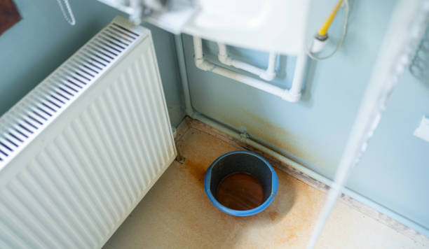 Best Flood damage cleanup  in Seabrook Island, SC