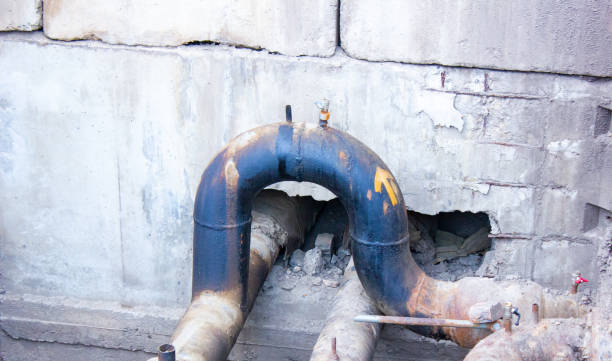 Best Flood restoration services  in Seabrook Island, SC