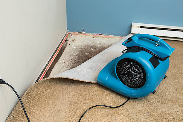 Best Water damage restoration process  in Seabrook Island, SC